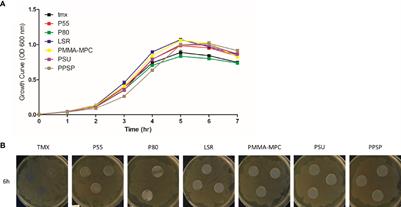 Bacterial Adhesion and Biofilm Formation of Enterococcus faecalis on Zwitterionic Methylmethacrylat and Polysulfones